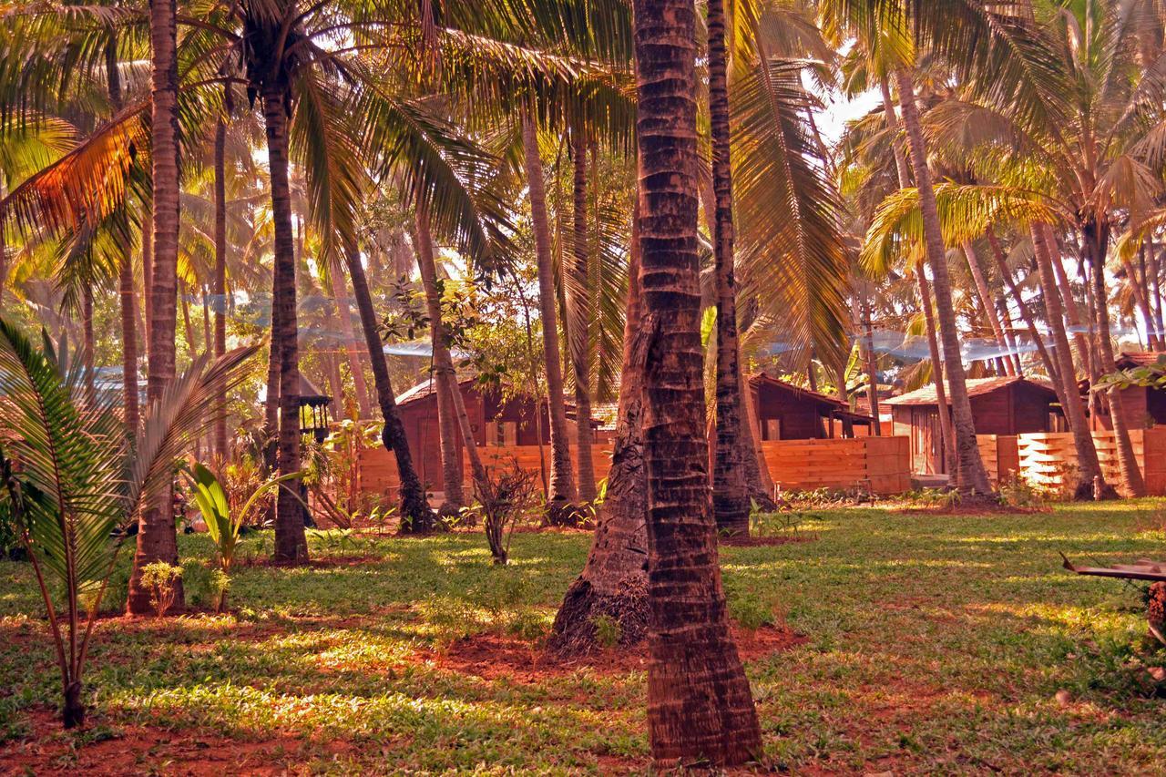 Mandrem Village Resort エクステリア 写真