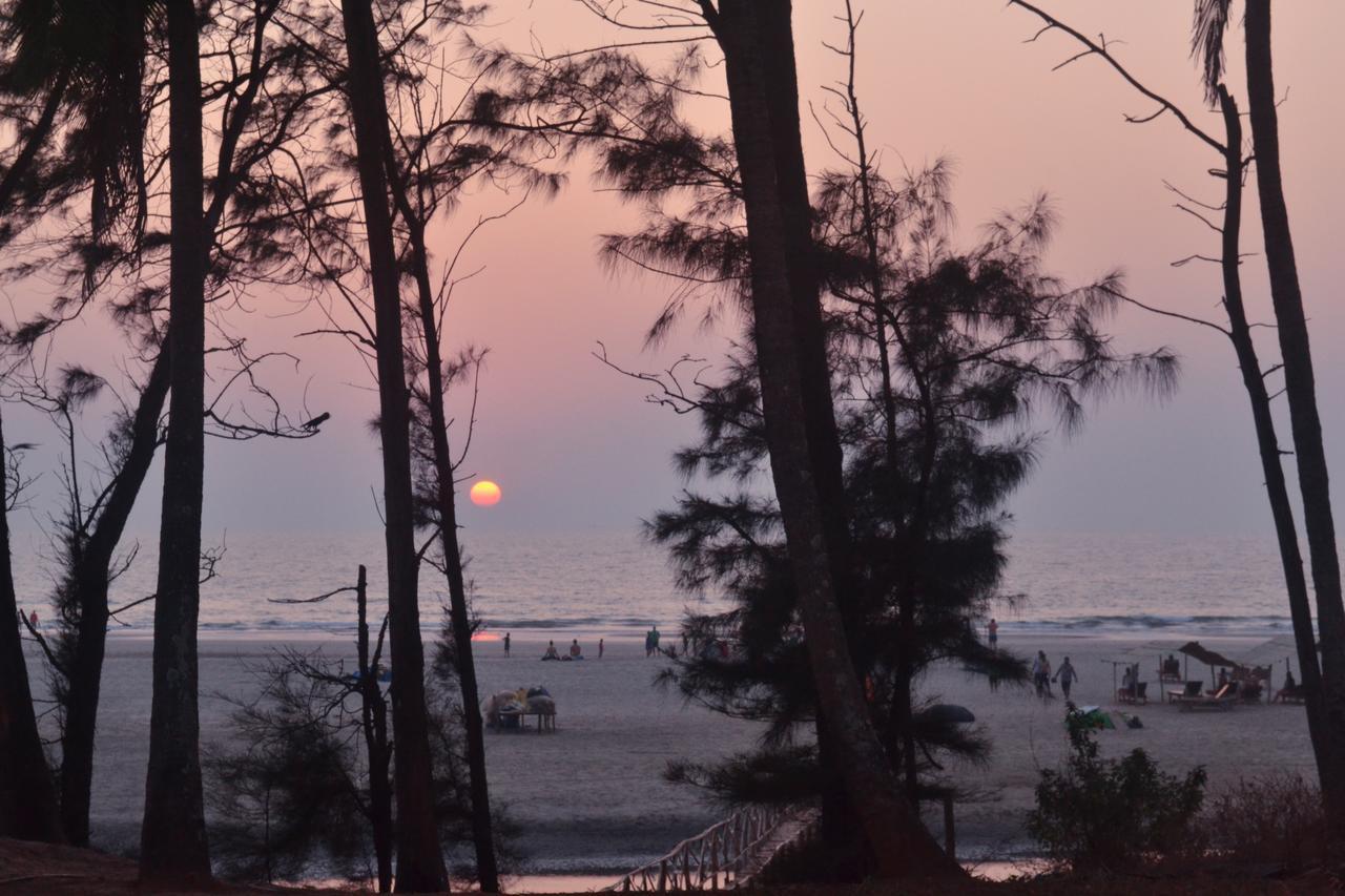 Mandrem Village Resort エクステリア 写真