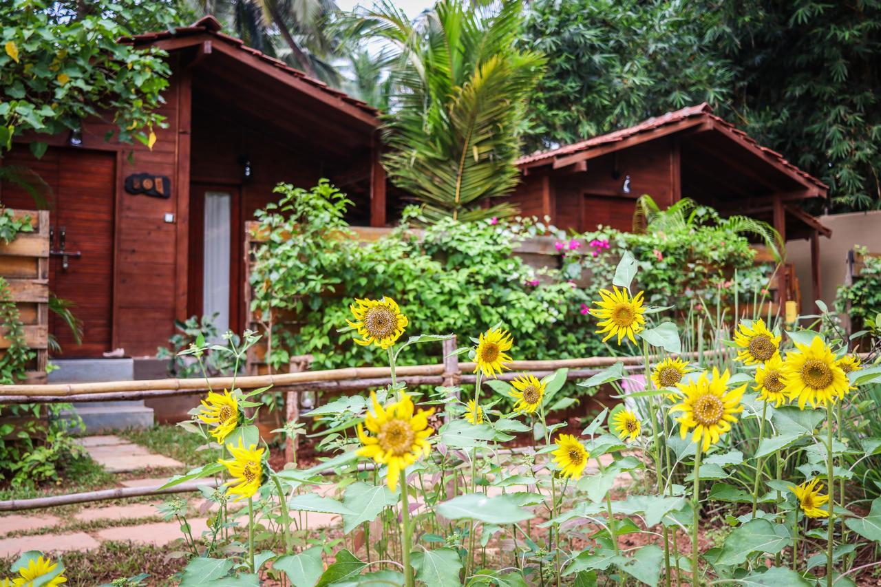 Mandrem Village Resort エクステリア 写真